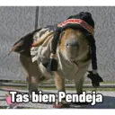 Capibaras con Frases 30