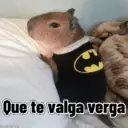Capibaras con Frases 10