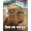 Capibaras con Frases 7