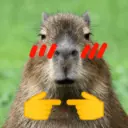 Capibaras con Frases 25