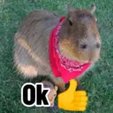 Capibaras con Frases 6