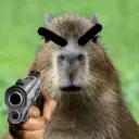 Capibaras con Frases 12