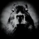 Capibaras con Frases 13