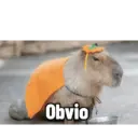Capibaras con Frases 16