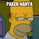Homer Simpson 😎 11