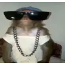 Lo mejor de los monos  8