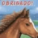 OBRIGADO!