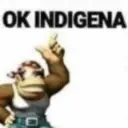 OK INDIGENA