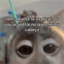 nem adianta se explicar.eu vou acreditar no que criei na cabeça