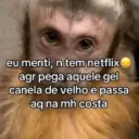 eu menti, n tem netflix→ agr pega aquele gel canela de velho e passa aq na mh costa