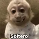 Soltero