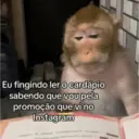 Eu fingindo ler o cardápio sabendo que vou pela promoção que vi no Instagram BONDA BLOW "