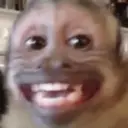 MIQUITOS 9