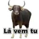Lá vem tu