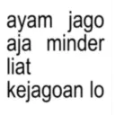 ayam jago aja minder liat kejagoan lo