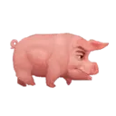 PIG CUTE 🐷 PORQUINHO 5 🐷😏