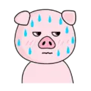 PIG CUTE 🐷 PORQUINHO 8 🐷💦