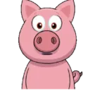 PIG CUTE 🐷 PORQUINHO 9 🐷😲