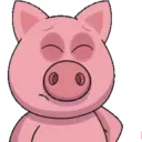 PIG CUTE 🐷 PORQUINHO 11 🐷😌