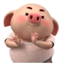 PIG CUTE 🐷 PORQUINHO 13 🐷👏