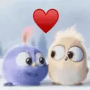 Bird Love