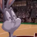 Confident Bugs