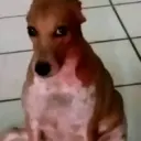 Comentarios De Tik Tok 3 19