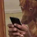 Comentarios De Tik Tok 3 6