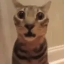 Comentarios De Tik Tok 3 16