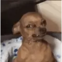 Comentarios de TikTok 6