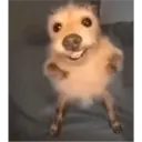 Comentarios de TikTok 15
