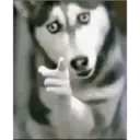 Comentarios de TikTok 18