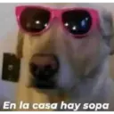 Animales :> 16