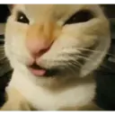 Animales :> 19
