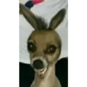 Animales Graciosos 😂 10
