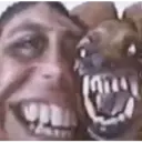 Animales Graciosos 😂 8