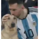 Animales Graciosos 😂 14