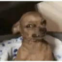 tiktok 11