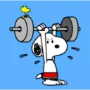 GYM Personajes 13
