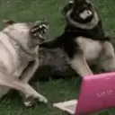 Memes Tiktok 20