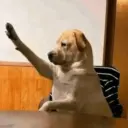 Memes Tiktok 12