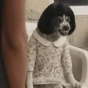 Memes Tiktok 22