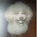 Memes Tiktok 14