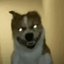 Memes Tiktok 11