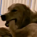 Memes Tiktok 5