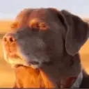 react meme tiktok 10
