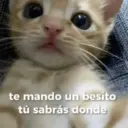 te mando un besito tú sabrás donde