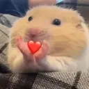 💖🥹 Amor - Chat 💖🥺 15