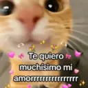 Te quiero muchísimo mi amorrrrrrrrrrrrrrrr