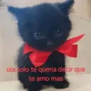 ola solo te queria decir que te amo mas